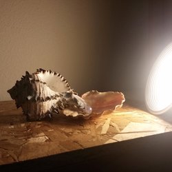 Vinogradova Art Studio