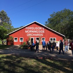Ferguson's Morningside Orchard - Entrance