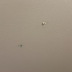 Holiday Inn Express & Suites San Antonio - Brooks City Base - Ceiling stains