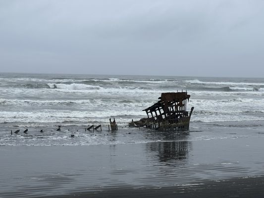 Wreck of the Peter Iredale by null
