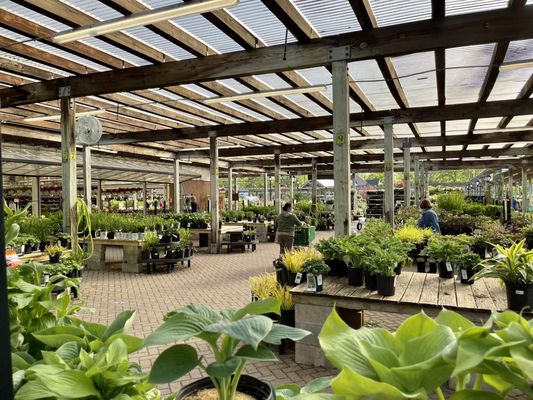 Hicks Nurseries Inc. Jericho Turnpike Westbury Ny