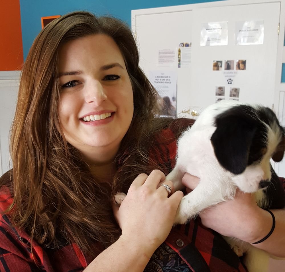 ALLYSON’S PET SITTING Bentonville, Arkansas Pet Sitting Phone