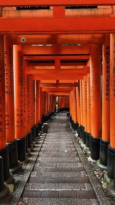 Senbon Torii (Thousand Torii Gates) by null