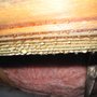Photo of Reliance Pest & Termite