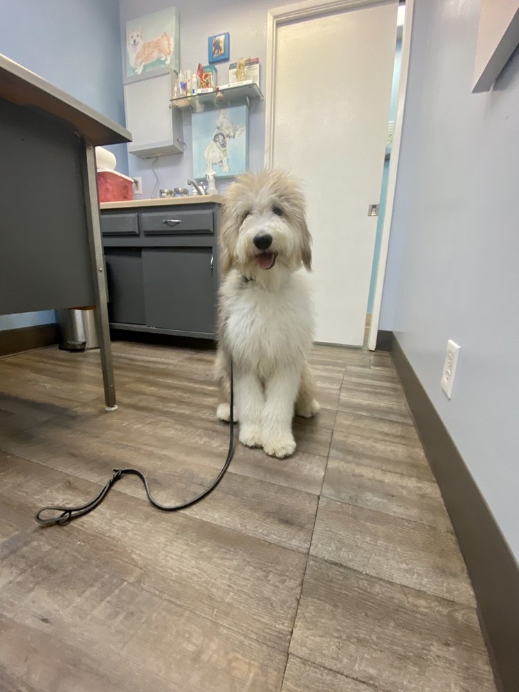 ARBOLES ANIMAL CLINIC CLOSED Updated September 2024 240 Photos