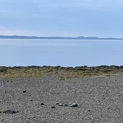 Searsport Shores Ocean Campground - Low tide