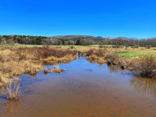 The Windham Path by null