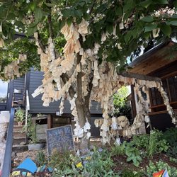 The Wishing Tree