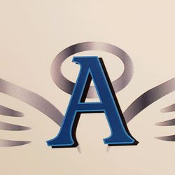 Angelic Services for Seniors