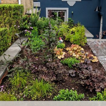 Native NY Gardens - Our new front garden. - Landscaping Near Me