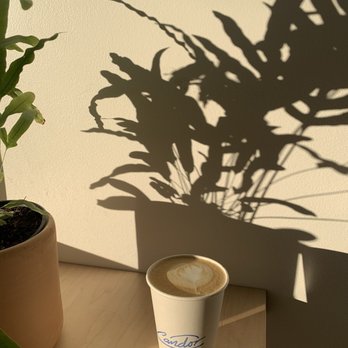 Candor Coffee - Latte - Coffee & Tea Near Me - Renton, Washington