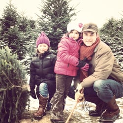 Hart Christmas Farm - Tree hunt.