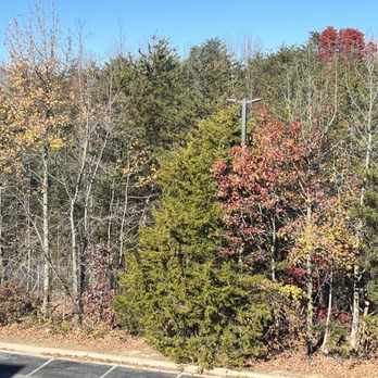 SpringHill Suites Edgewood Aberdeen - Fall colors and parking lot behind hotel - Hotels Near Me - Bel Air, Maryland