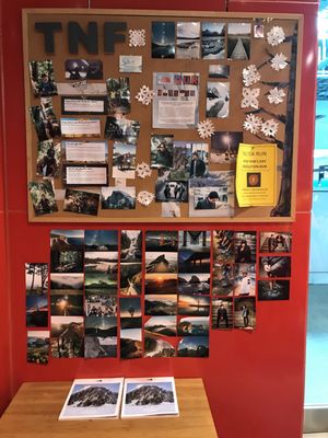 the north face westfield