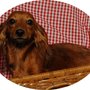 Photo of Clip Joint-Naturals For Animals