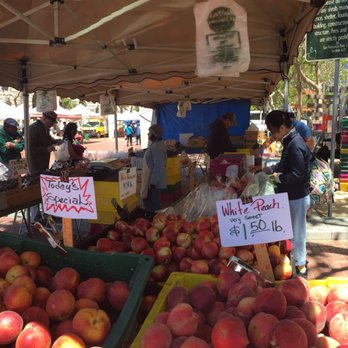 Peter Wolfe Farm - Farmers market - Farmers Market Near Me - Brentwood, California Peter Wolfe Farm - Farmers market - Farmers Market Near Me - Brentwood, California