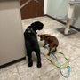 Photo of Wellspring Animal Hospital
