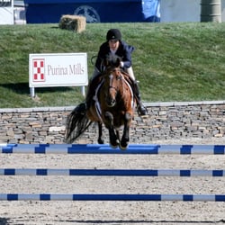 Folly Farm Stables - Folly Rider showing in Saugerties, NY