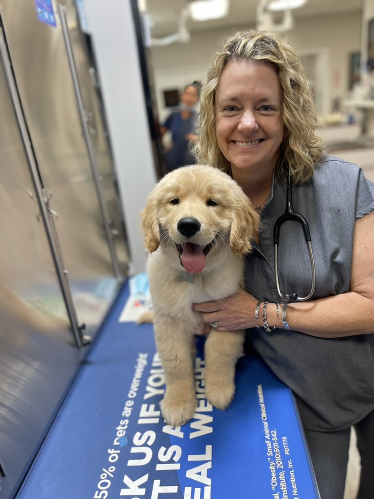 RICHMOND AVENUE ANIMAL HOSPITAL Updated May 2024 62 Photos & 87