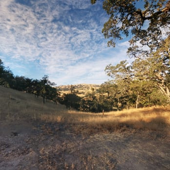 Joseph D Grant County Park - View from site 25. - Parks Near Me - San Jose, California Joseph D Grant County Park - View from site 25. - Parks Near Me - San Jose, California