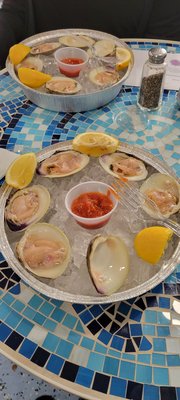 Blue Water Fish by null