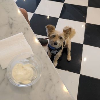 Confetti Italian Ice & Custard - Our dog loved his taste of Confetti! - Desserts Near Me - Costa Mesa, California Confetti Italian Ice & Custard - Our dog loved his taste of Confetti! - Desserts Near Me - Costa Mesa, California