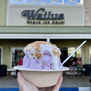 Wailua Shave Ice - Da Ube One (Ube & Coconut Milk, Ube Foam, Roasted Coconut Flakes) w/ added Haupia Foam - Shaved Ice Near Me - Kapaa, Hawaii Wailua Shave Ice - Da Ube One (Ube & Coconut Milk, Ube Foam, Roasted Coconut Flakes) w/ added Haupia Foam - Shaved Ice Near Me - Kapaa, Hawaii