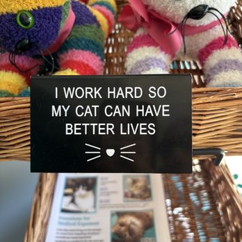 Kitty Queen Cat Rescue - Animal Shelters Near Me - Pittsburgh, Pennsylvania