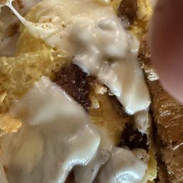 This is supposed to be a morel mushroom and Swiss cheese and onion omelette