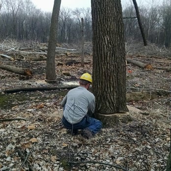 Kelly & Son Forestry and Logging - Tree Services Near Me - Crystal Lake, Illinois
