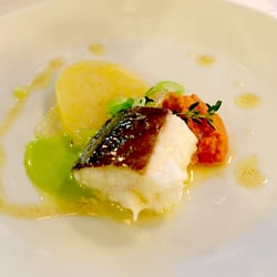 Vinothec Compass - Cod confit