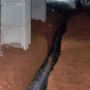 Photo of Palmetto Crawl Space Repair