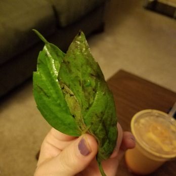 Pho Tai - Vietnamese Near Me - Lacey, Washington