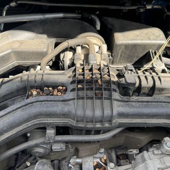 JD Morse Detailing - Before... with a nest! - Auto Detailing Near Me - Lafayette, California JD Morse Detailing - Before... with a nest! - Auto Detailing Near Me - Lafayette, California