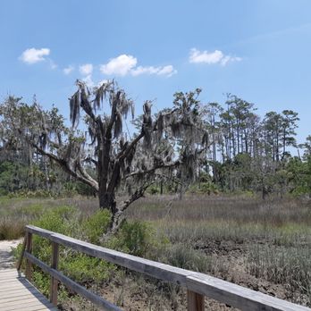 Skidaway Island State Park - Parks Near Me - Savannah, Georgia Skidaway Island State Park - Parks Near Me - Savannah, Georgia
