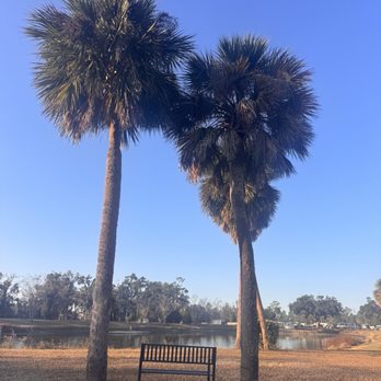 Palms & Pines Campground & RV Park - Bench overlooking pond with palm trees - Campgrounds Near Me - Jennings, Florida