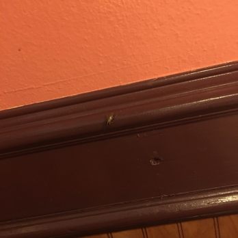 Eva's Mexican Restaurant - a close up of a corner of a room - Mexican Near Me - Houston, Texas Eva's Mexican Restaurant - a close up of a corner of a room - Mexican Near Me - Houston, Texas