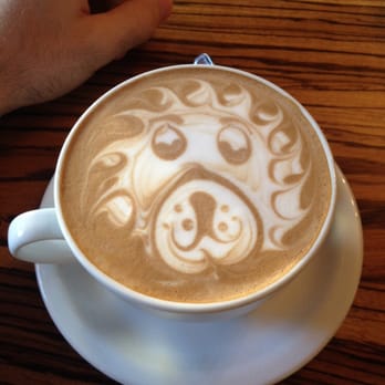 Moore Coffee Shop - Lion goes rawrrrr - Coffee & Tea Near Me - Seattle, Washington Moore Coffee Shop - Lion goes rawrrrr - Coffee & Tea Near Me - Seattle, Washington