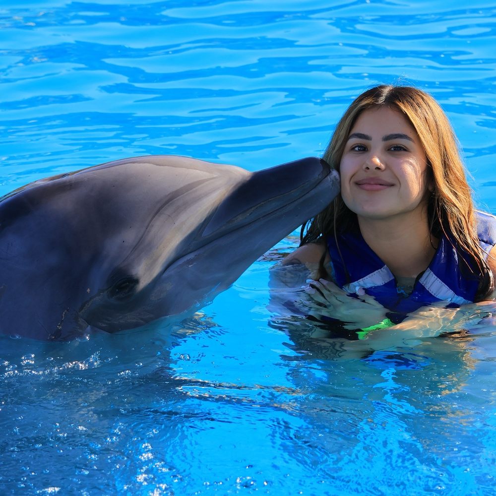 Cabo Dolphins - Goodbye kiss from Nawi - Active Life Near Me - San José del Cabo, BCS