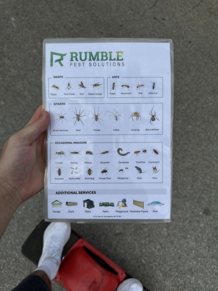 RUMBLE PEST SOLUTIONS Updated August 2024 11 Reviews 1210 Dyer St
