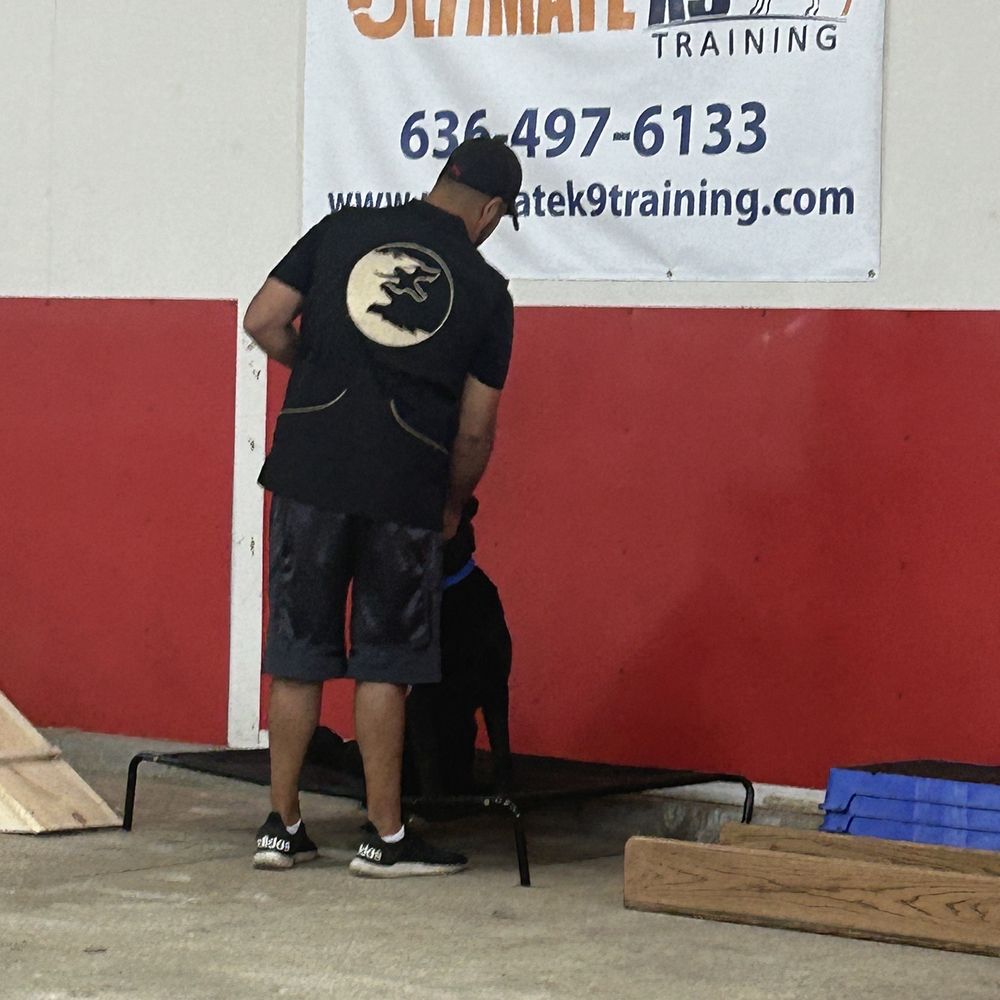 Ultimate K9 Training - Banjo and Thaer - Pet Training Near Me - St. Peters, Missouri Ultimate K9 Training - Banjo and Thaer - Pet Training Near Me - St. Peters, Missouri