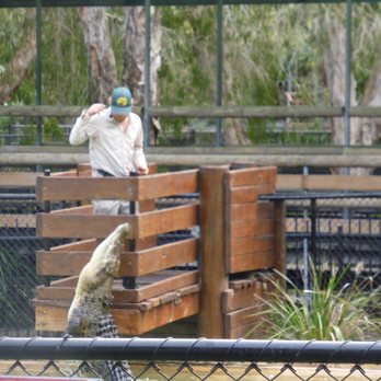 Australia Zoo - Crocodile show - Zoos Near Me - Beerwah, QLD