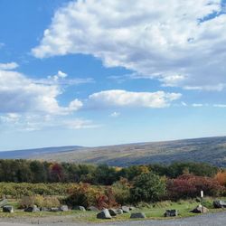 Finger Lakes House - View from the terrace