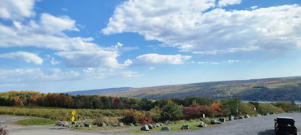 Social spots from Finger Lakes House