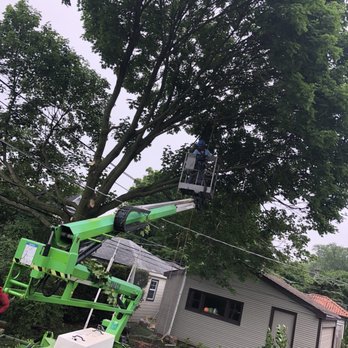 Alejandres Tree Service - Tree Services Near Me - Round Lake Beach, Illinois Alejandres Tree Service - Tree Services Near Me - Round Lake Beach, Illinois