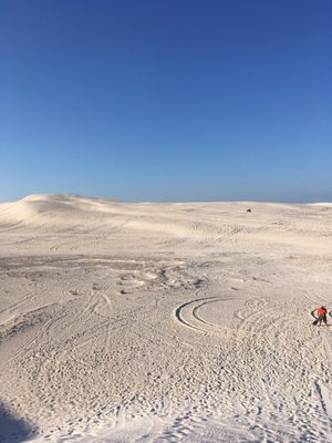 Lancelin Sand Dunes by null