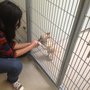 Photo of Santa Barbara County Animal Shelter