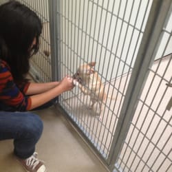 Santa Barbara County Animal Shelter