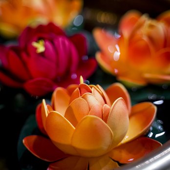 Charminar Indian Cuisine - Indian Near Me - Whitby, Ontario