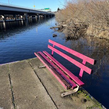 Washington Park Arboretum - Custom colored bench? - Parks Near Me - Seattle, Washington Washington Park Arboretum - Custom colored bench? - Parks Near Me - Seattle, Washington